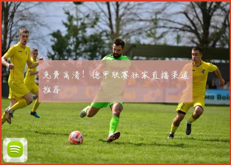 免费高清！德甲联赛独家直播渠道推荐