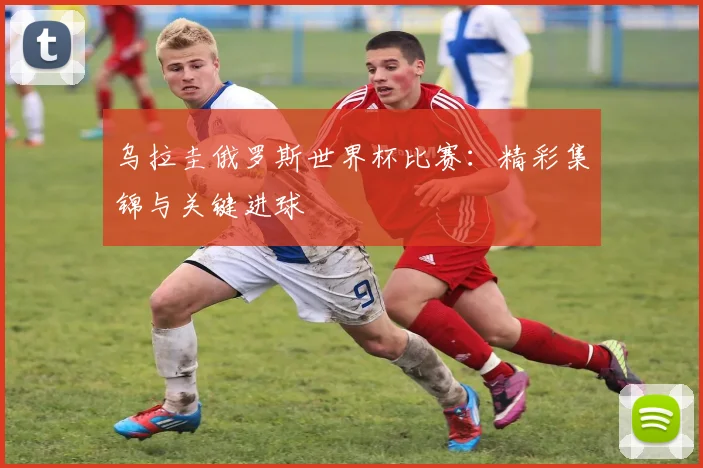 乌拉圭俄罗斯世界杯比赛：精彩集锦与关键进球