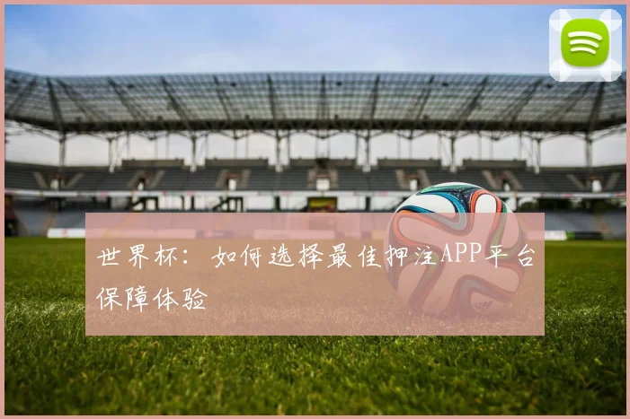 世界杯：如何选择最佳押注APP平台保障体验