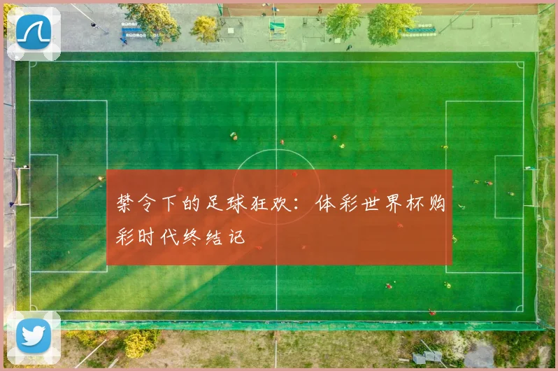 禁令下的足球狂欢：体彩世界杯购彩时代终结记