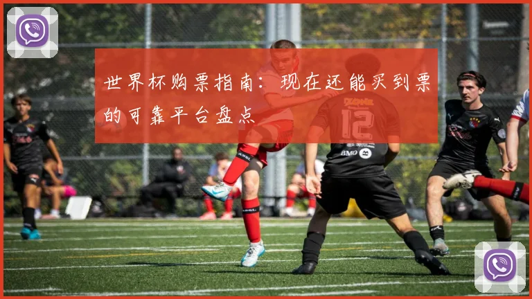 世界杯购票指南：现在还能买到票的可靠平台盘点