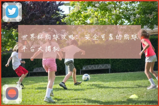 世界杯购球攻略:安全可靠的购球平台大揭秘