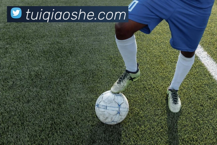 mksports在线登录入口全站App